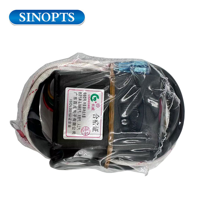 110 V de voltaje encendedor de pulso del calentador de agua de gas