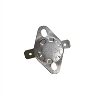 Sinopts 170 ℃ Piezas de la estufa de termostato