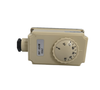  Interruptor termostato mando regulable tubo caldera