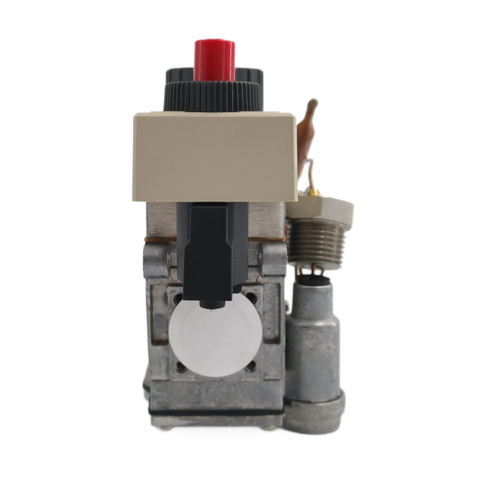 SINOPTS Válvula de control termostática para horno de gas de 30 a 90 grados Celsius con encendedor