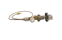 SINOPTS Dispositivo de extinción de válvula de seguridad de control de gas, válvula de calentador de gas para estufa de gas